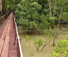 Kuala Selangor Nature Park