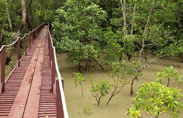 Kuala Selangor Nature Park