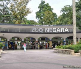 Zoo Negara Malaysia