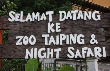 Taiping Zoo & Night Safari