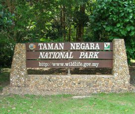 Taman Negara National Park, Pahang